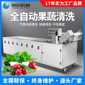 农产品设备多功能蔬果净菜流水清洗线洗菜机